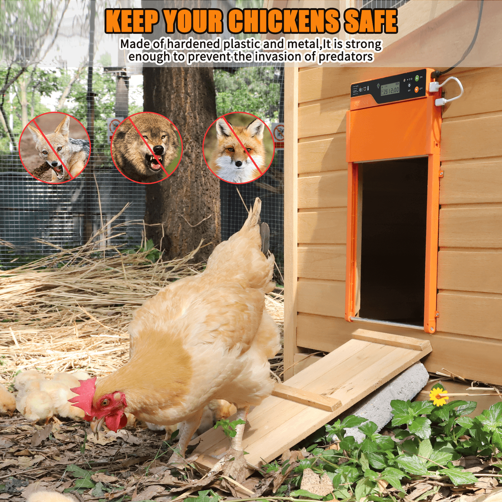 Auto Chicken Coop Door Solar Powered LCD Timer Light Remote Control Poultry Gate
