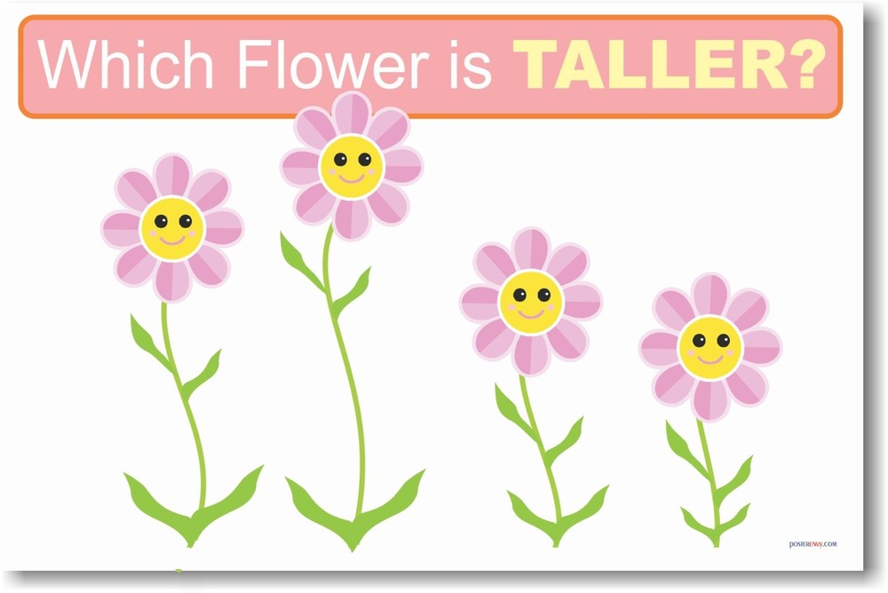 Which is Taller- Educational Kindergarten Math POSTER