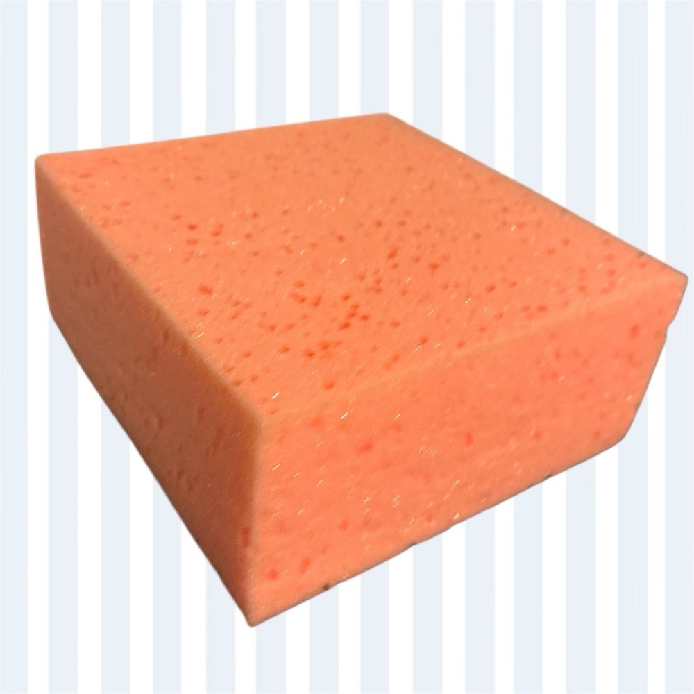Sponges
