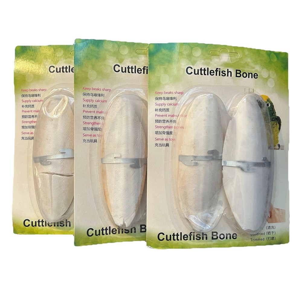 Cuttlefish Bone Bird Cuttlefish Bone