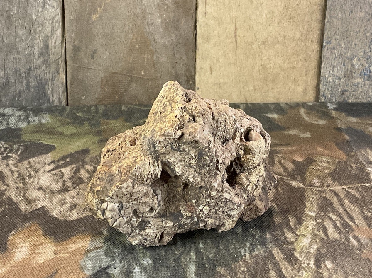 Missouri Druzy Quartz Fossilized Coral Stone Display