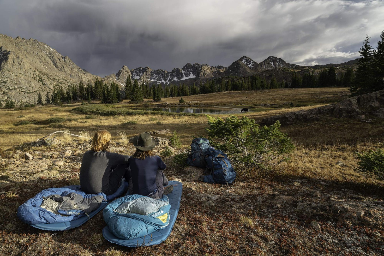 Kelty Cosmic 20° Down Sleeping Bag - 3 Season, Large Footbox, Compression Sack