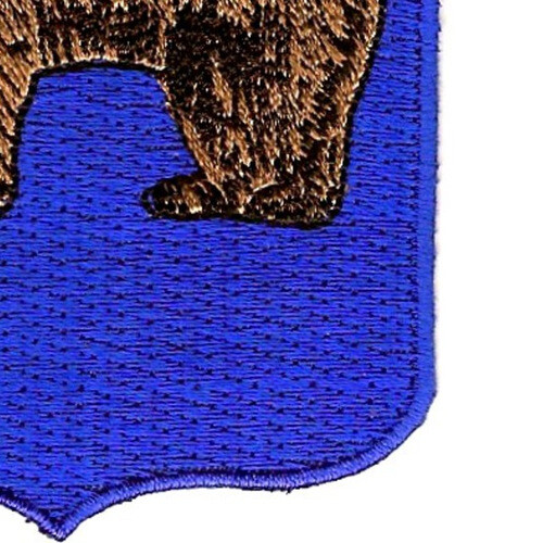 62nd Infantry Regiment Patch