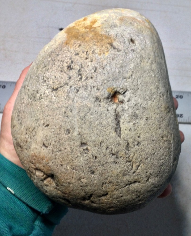 Large dinosaur armor plate - RARE