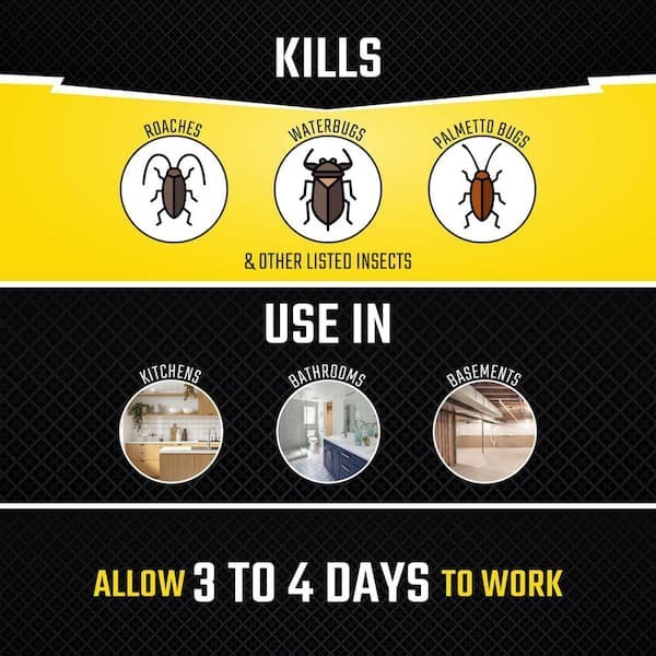 Black Flag Roach Motel Insect Glue Traps (2-Pack)