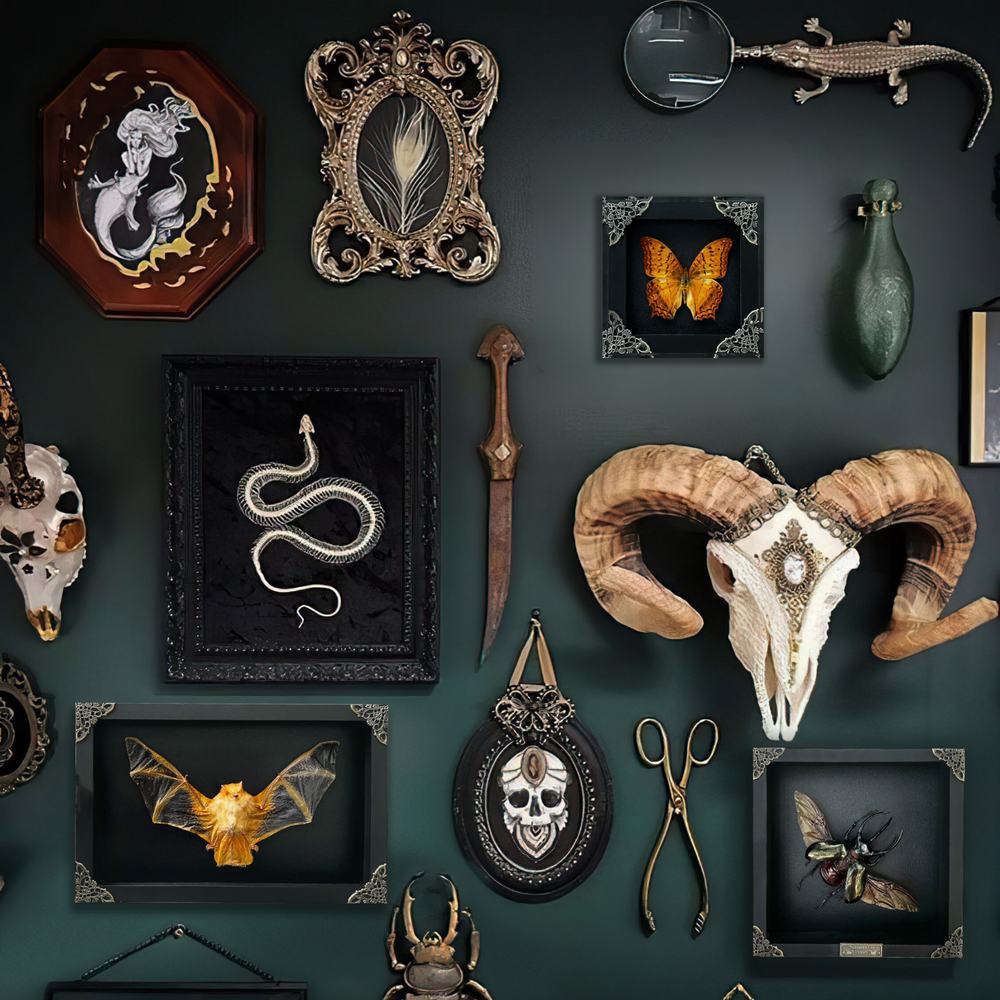 Real Framed Butterfly Specimen Insect Collection Display Goth Artwork Decor