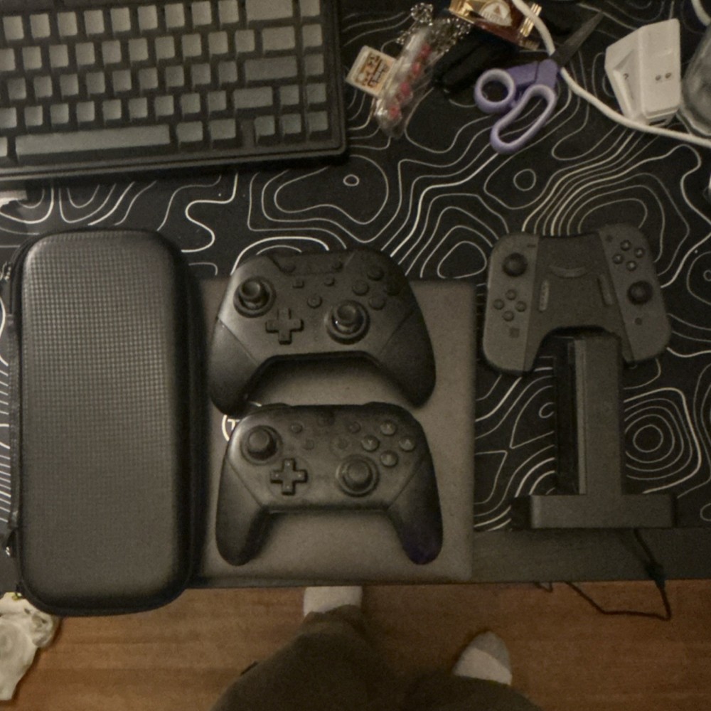 Nintendo Controller Bundle with Carrying Case and Accessories READ DESCRIPTION