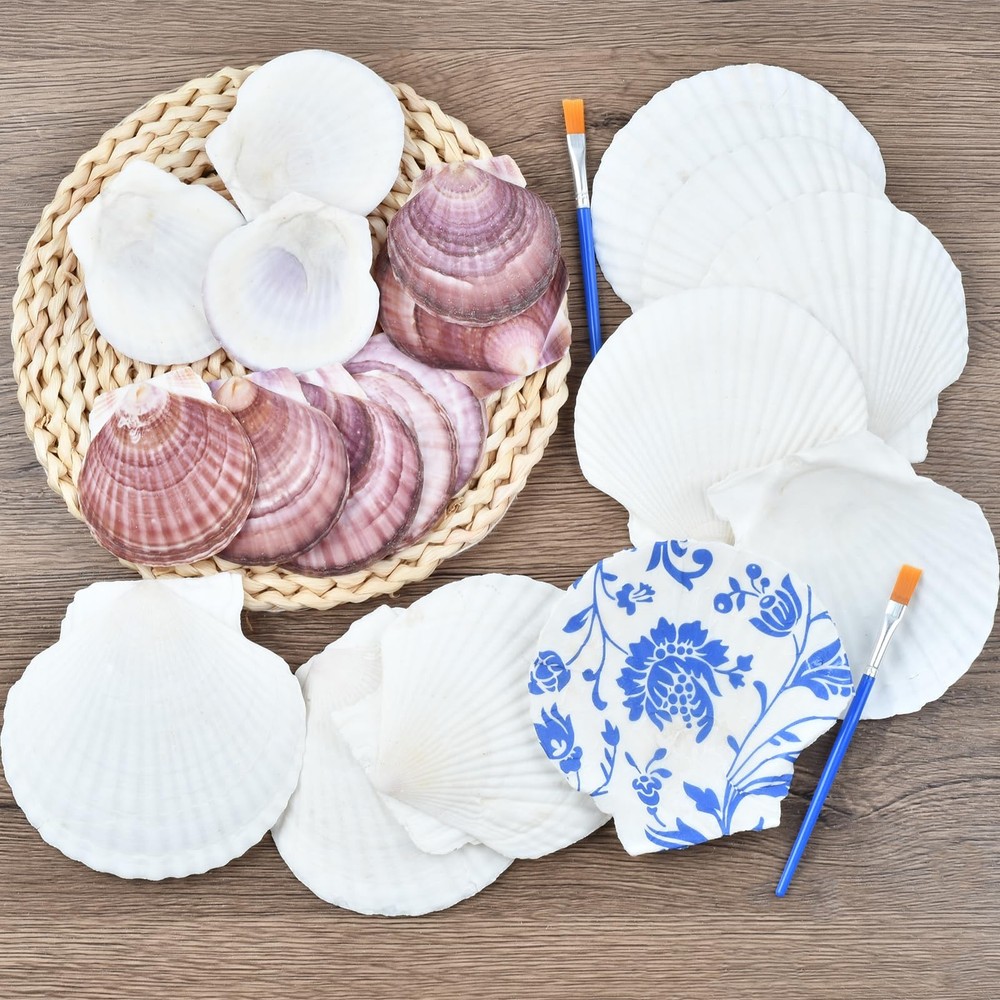 Decoupage Crafts Shells, Large Real Shells, 20PCS Clean Purple Shells with Ba...