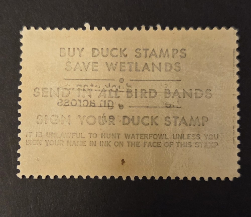 RW51 Duck Stamp