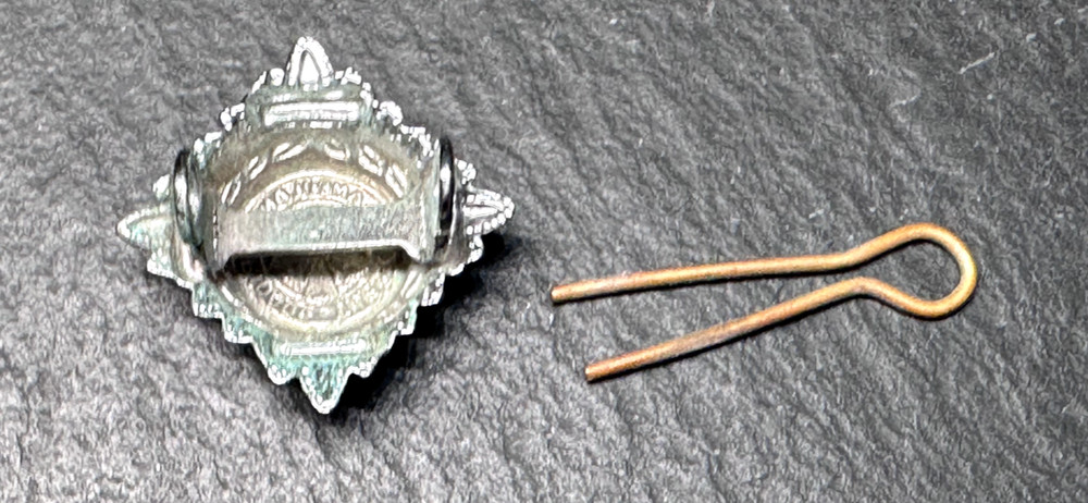 ST JOHNS AMBULANCE BRIGADE NURSING BADGE E262