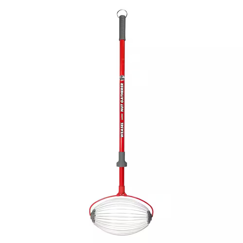 48 In. Weasel Large Nut Gatherer with Smooth Rolling Cage