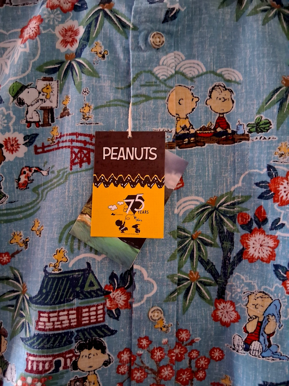Reyn Spooner Peanuts in Japan Men's Aqua Button Front Shirt