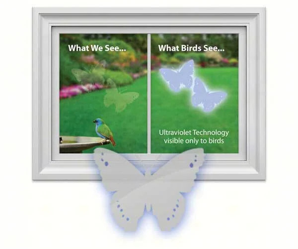 Butterfly Decal (4 per package) by Window Alert