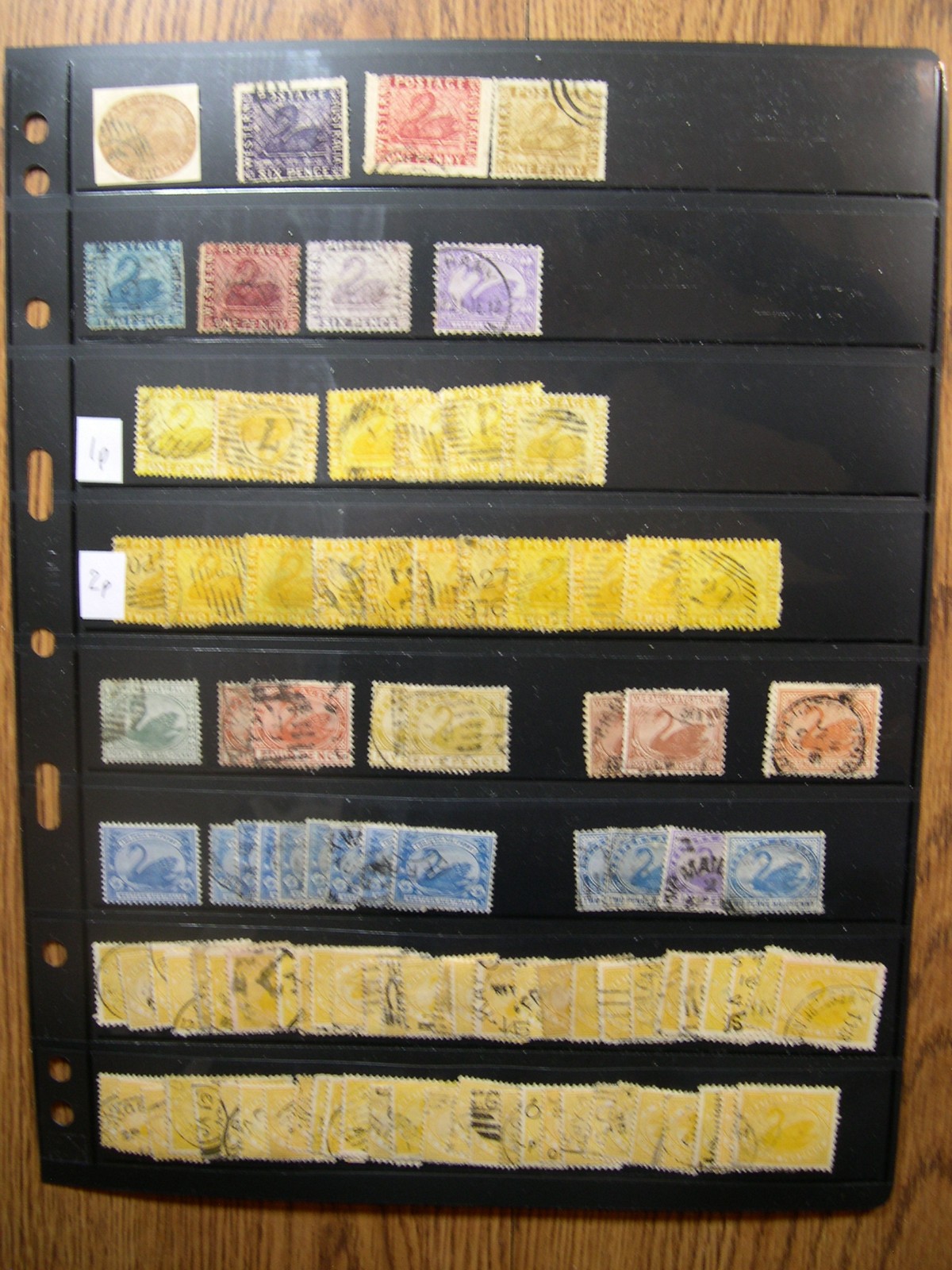 AUSTRALIA STATES collection USED mounted in vario stock album pages UX1