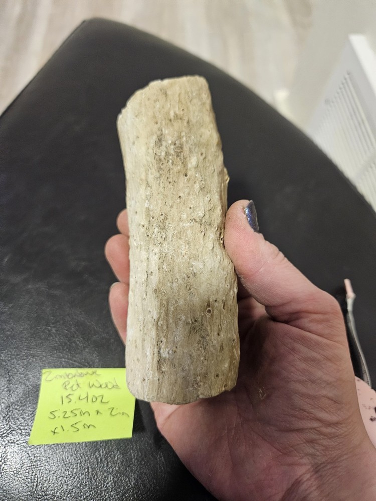Zimbabwe Petrified Wood Specimen (15.4oz)