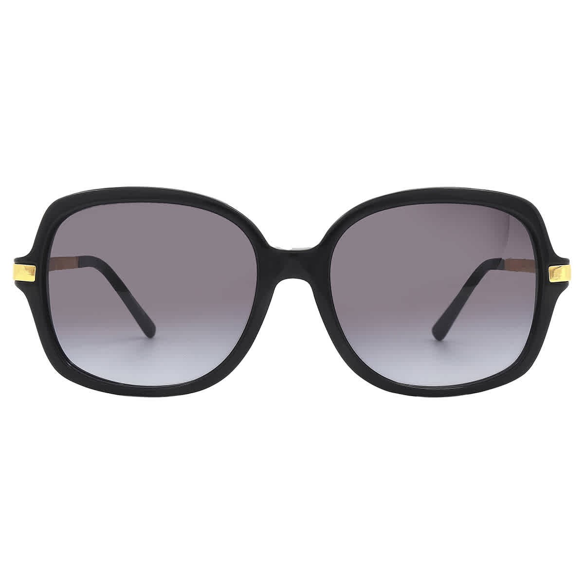 Michael Kors Adrianna II Grey Gradient Butterfly Ladies Sunglasses MK2024 316011