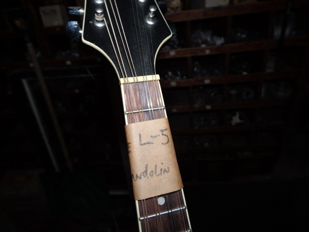 Rogue RM-100A A-Style Mandolin - Black