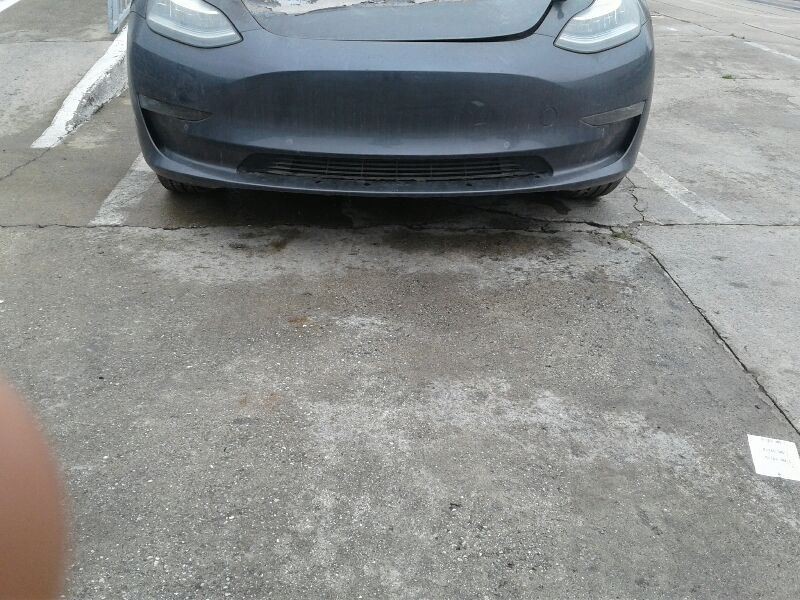 TESLA 3 2019 Camera/Projector 117421