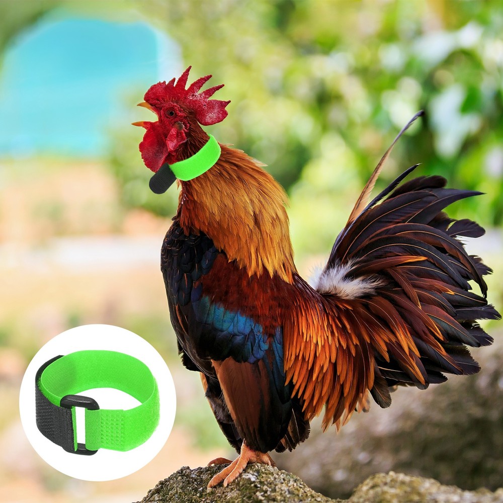 20-Pack Adjustable Polyester Rooster Collars for Poultry Birds [Green]