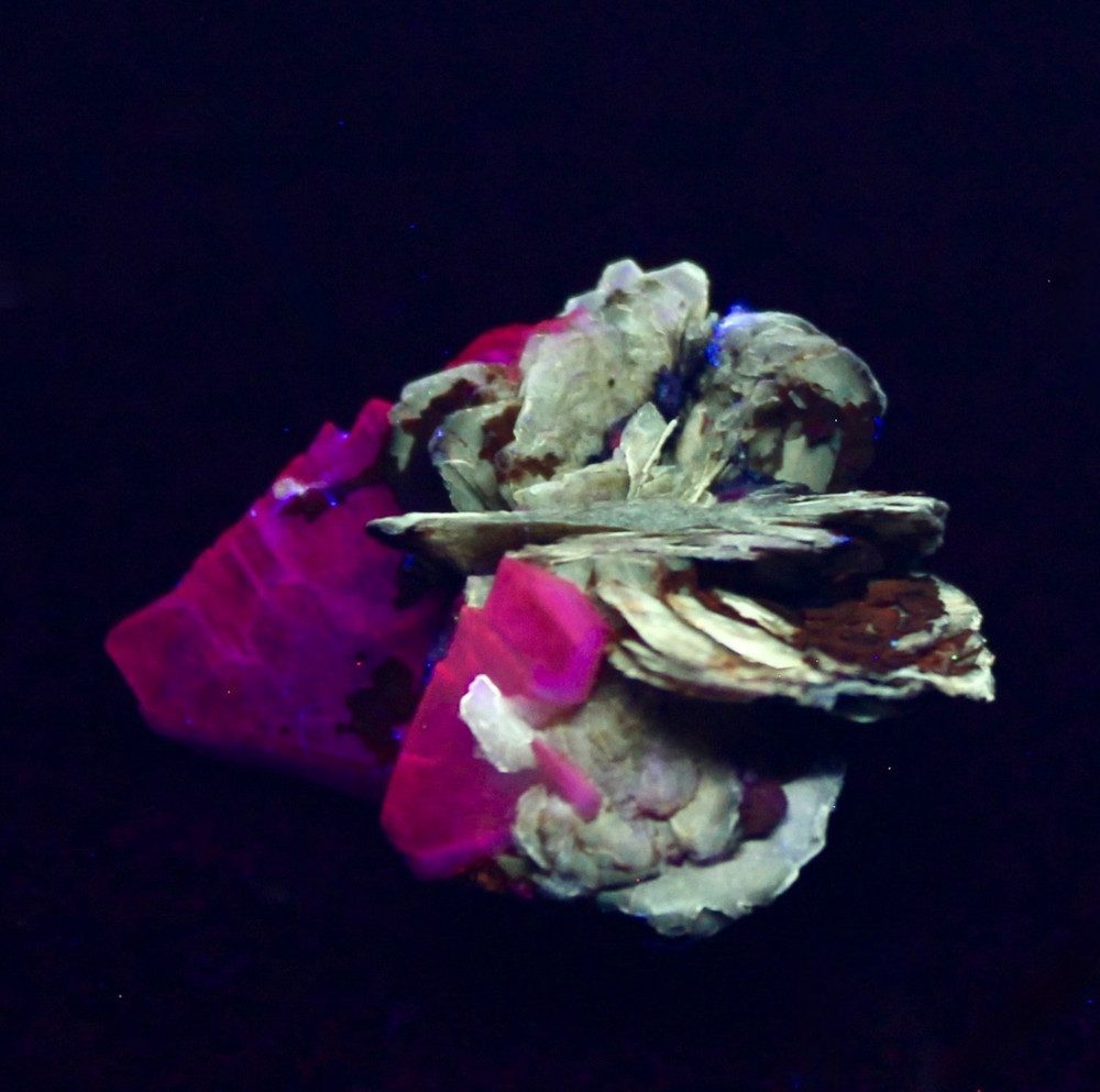 POLYLITHIONITE w/ ALBITE & OTHERS Mont Saint- Hilaire, Quebec, Canada