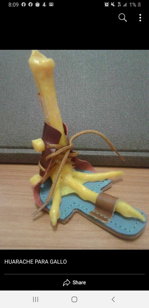 Huaraches for roosters