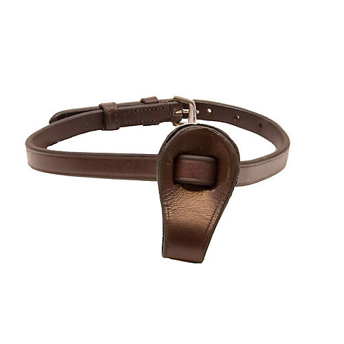 Pro-Trainer Flash Attachment