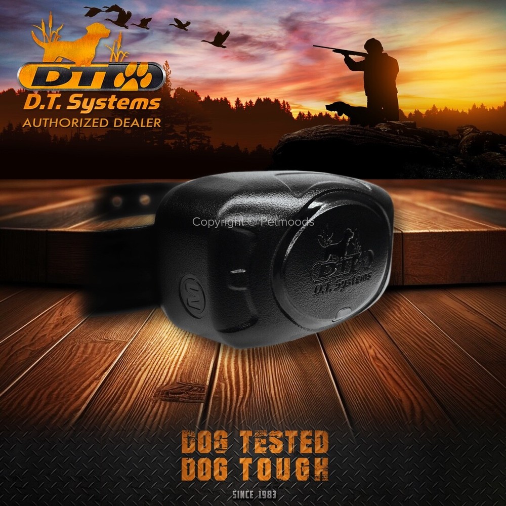 DT Systems DD700 D.O.G. Director 700 Yard Range Training System MAXX-Range 360°