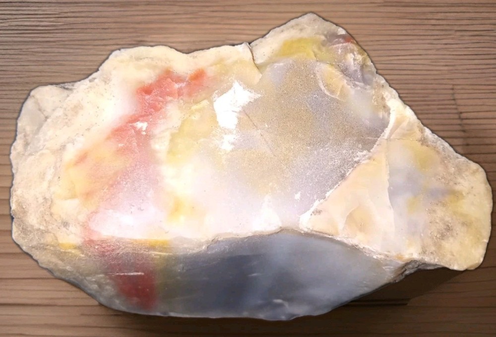 Petrified Rainbow Wood Rough 230g