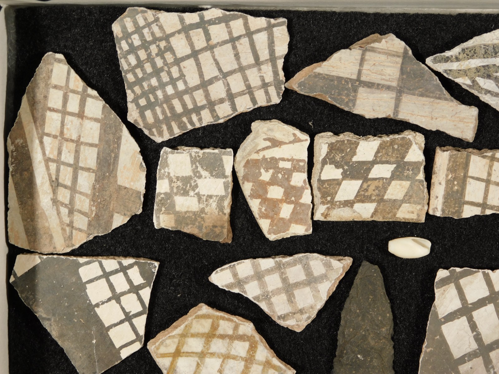 Big Lot! of ANASAZI Pottery Shards or Sherds in Wall Mountable Frame Arizona