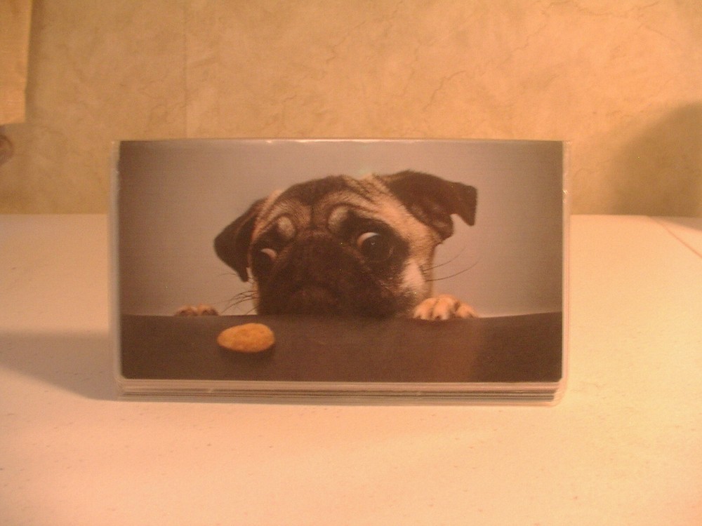 Pug I want please vinyl Checkbook cover