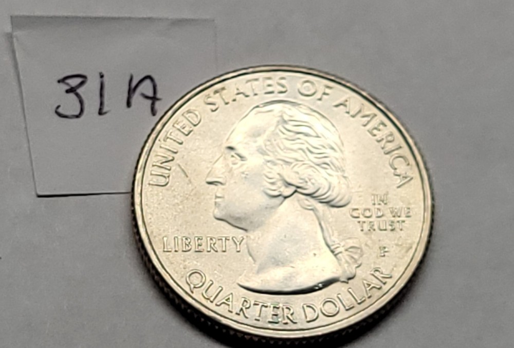 2020P WASHINGTON QT ERROR ( GREASE -MISSING FUR )31A