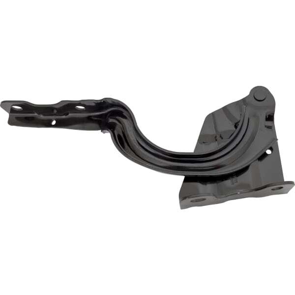 Hood Hinge RH for 19-22 FORTE