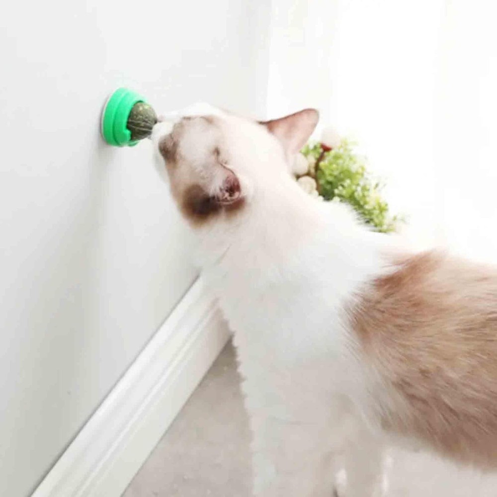 6 PCS Catnip Balls - Roller That Stick On Wall Green