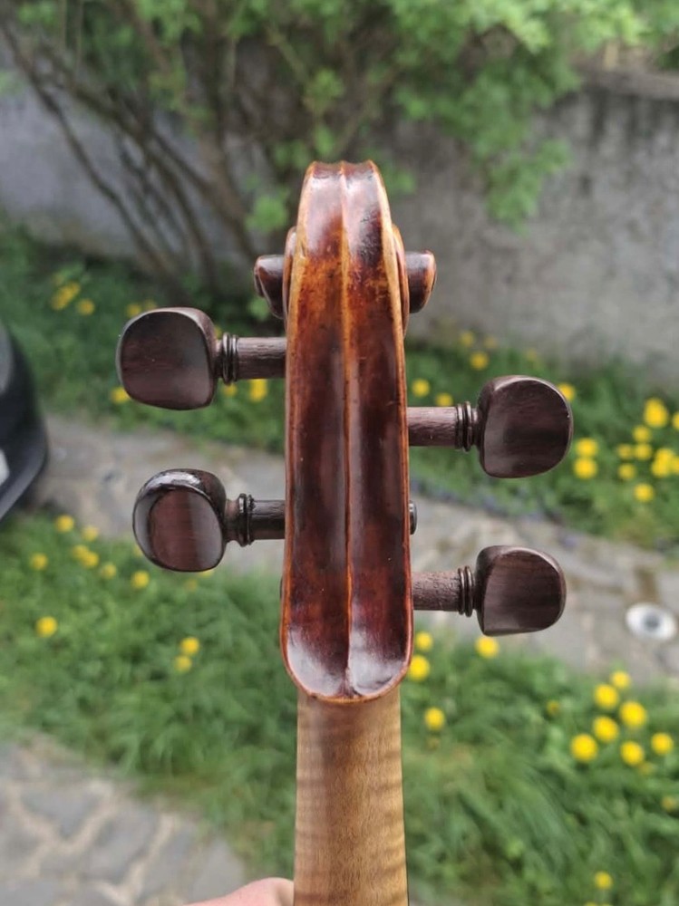 Violin 4/4 C. G. Schetelig