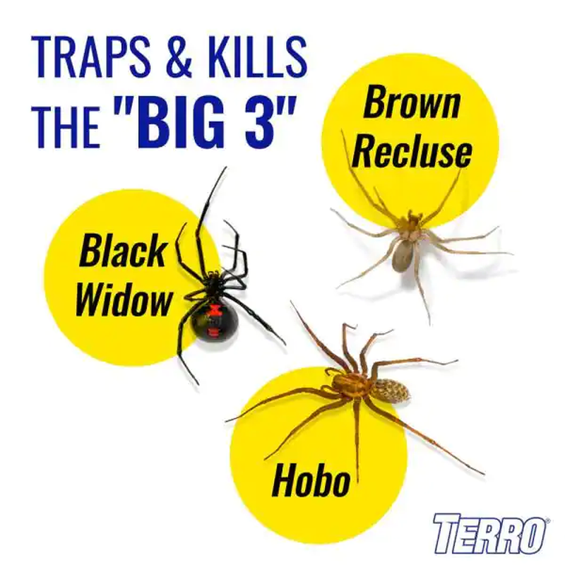 Non-Toxic Spider and Insect Trap (4-Count)