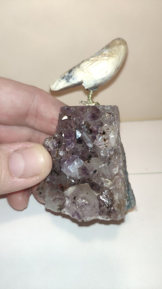 Parrot Carved on Stone with Amethyst Druze Base