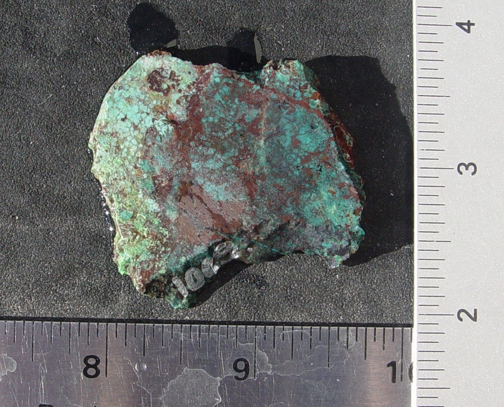 Chrysacolla   Lapidary Slab                    T1009