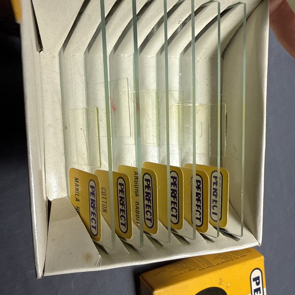 Antique microscope slides - 24 Perfect Prepared Microscope Slides Insects Etc