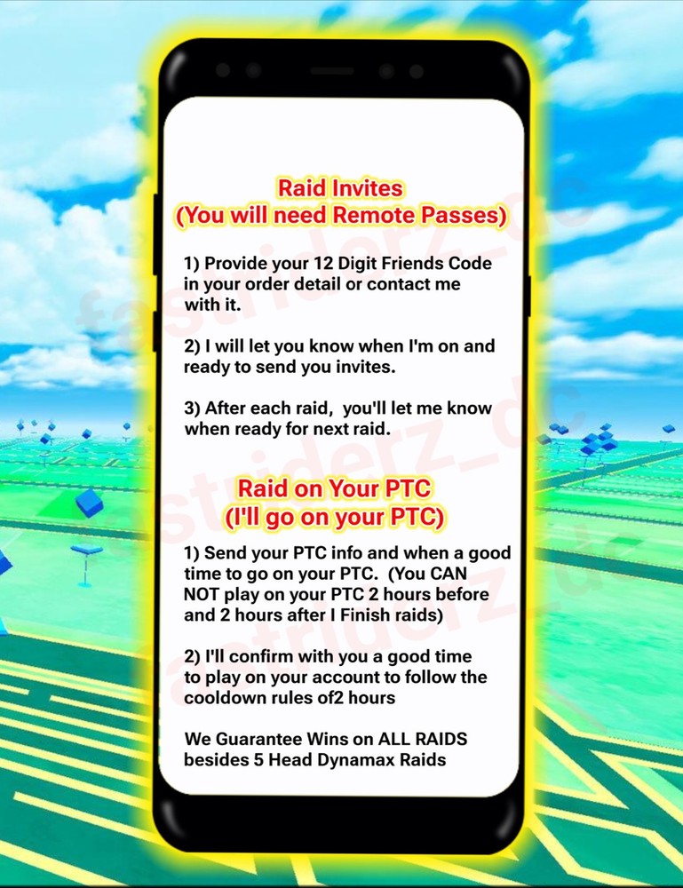 Pokémon Zacian Go RD