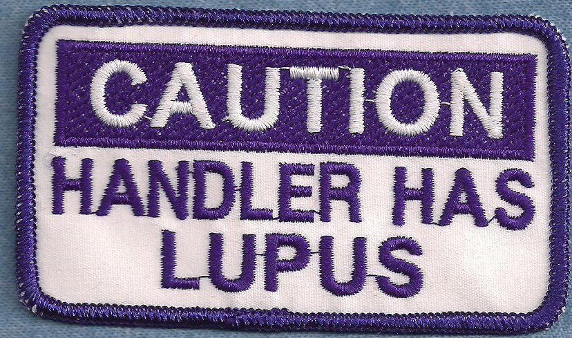 CAUTION HANDLER HAS LUPUS - Purple - service dog vest patch