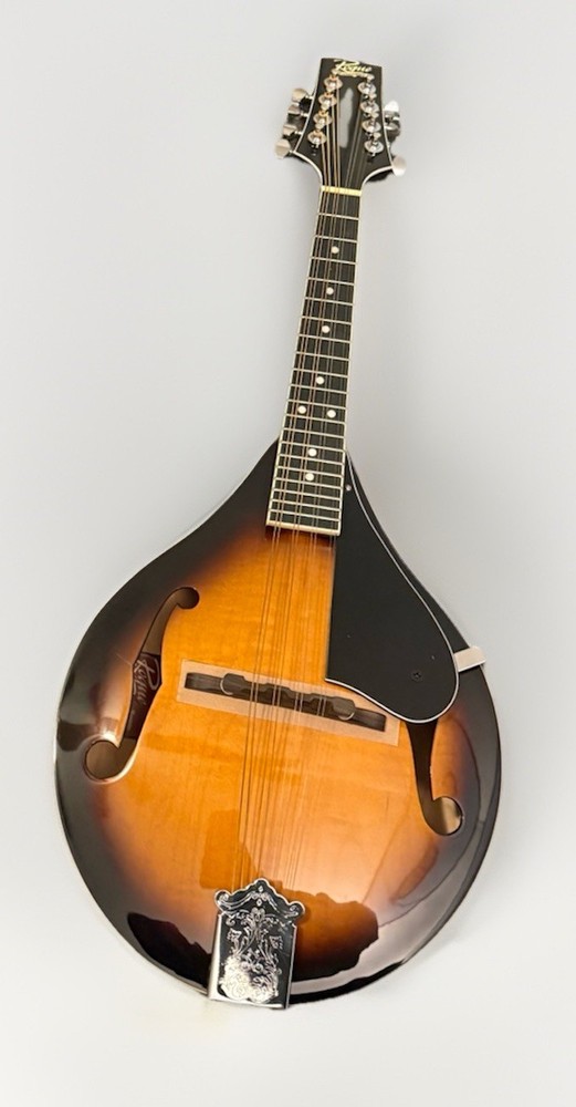New (open Box) A Style ROGUE Mandolin - No Case