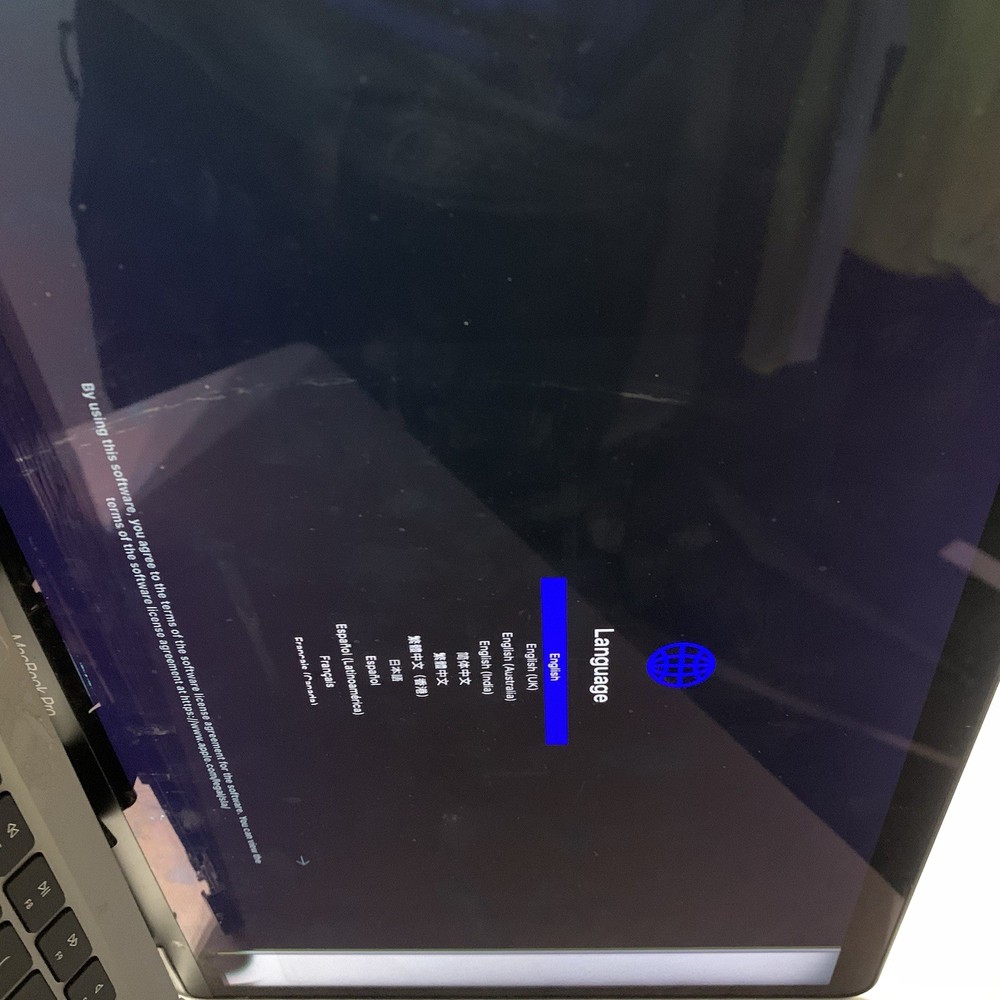 A2337 A2338 OEM APPLE MACBOOK 2020 LCD Screen DISPLAY ASSEMBLY - PARTIAL VISUAL