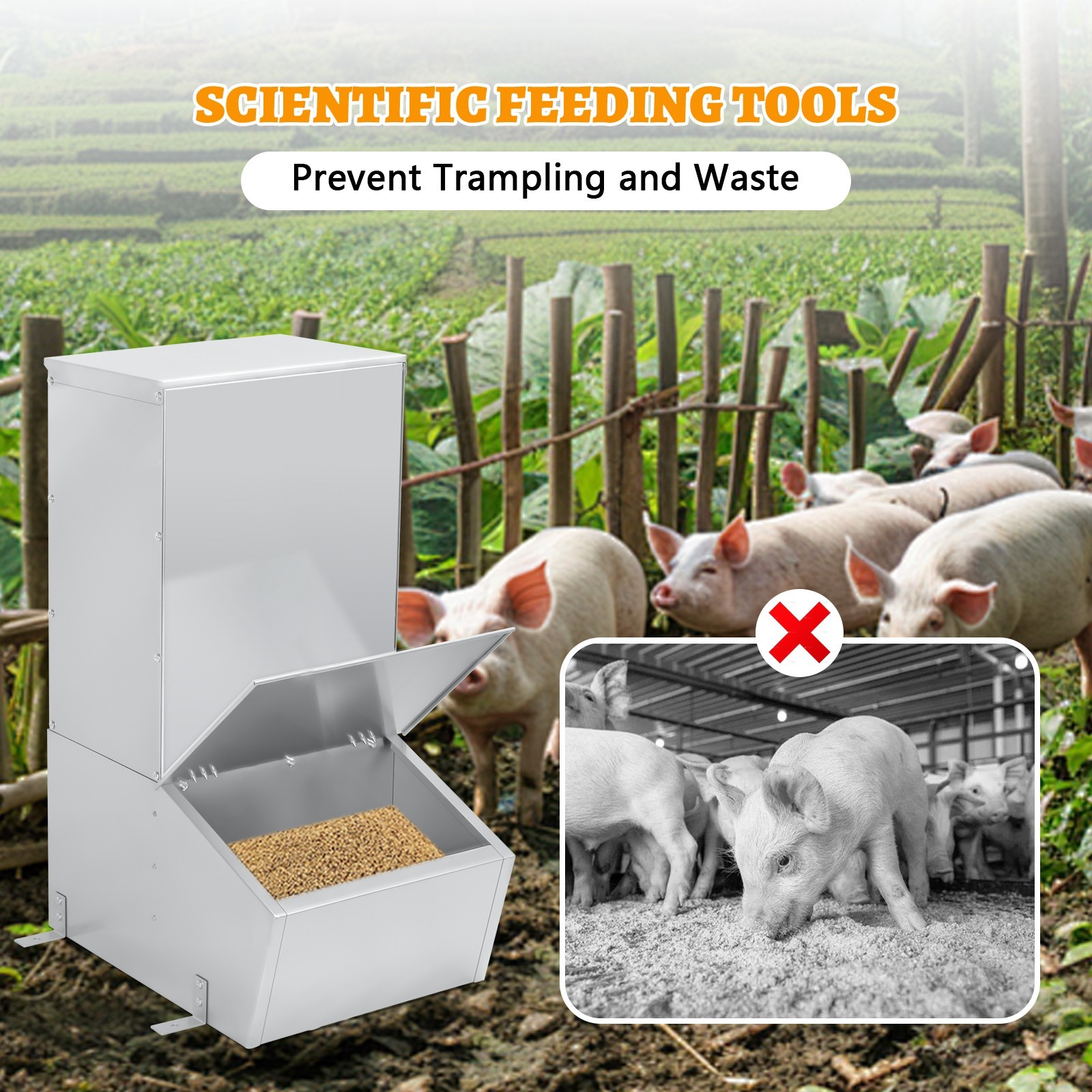 Hog Feeder,1.5 Bushel Single Door Automatic Pig Feeder,Pig Trough