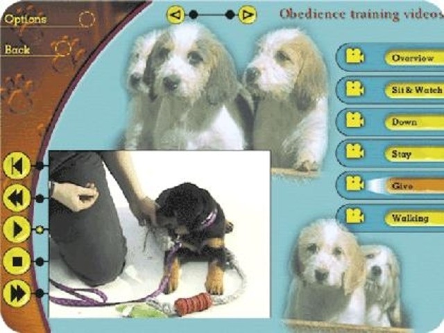 Easy Baby Massage for Windows and Mac