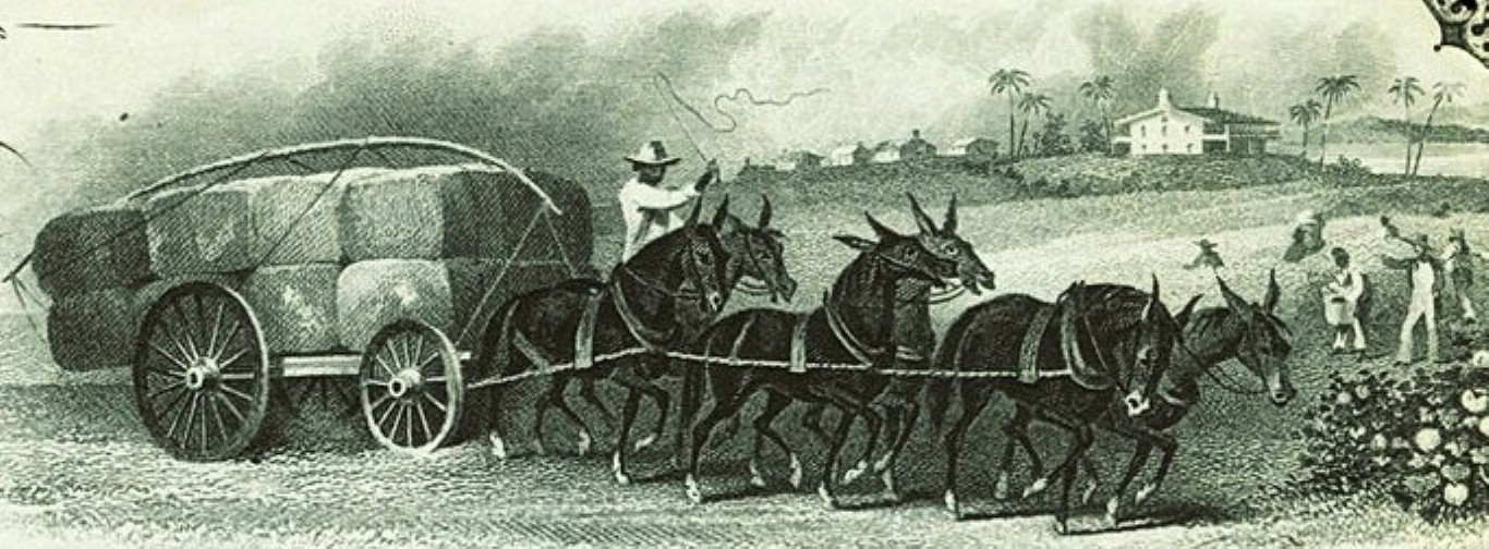 TX PARIS Texas The Farmers and Merchants Bank 1870s Certificate of Deposit