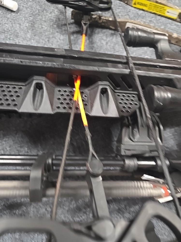 Bear Intense Crossbow