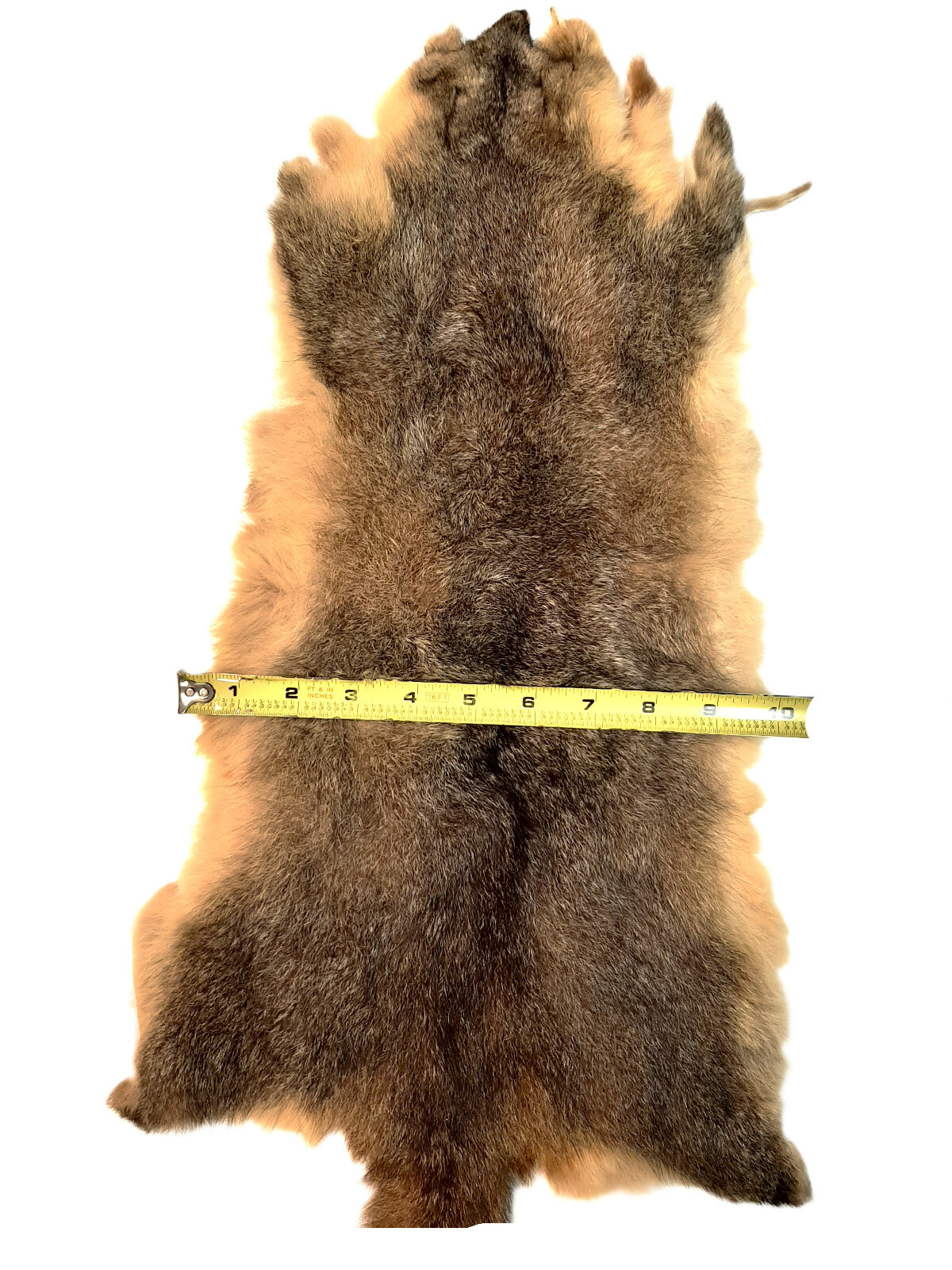 Brush-tail Possum, Dressed - Soft & Plush Fur - Natural Color