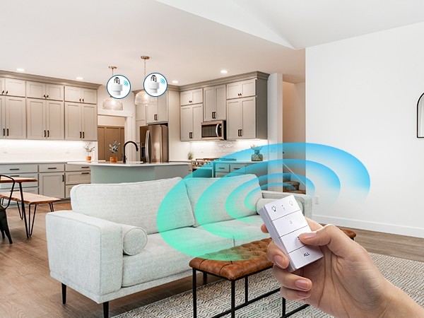 DEWENWILS Wireless Light Socket & Switch Kit, No Wiring, 100FT Range, ETL Listed