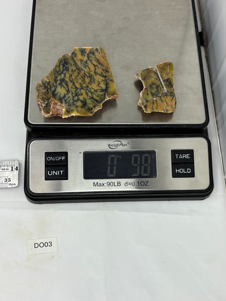 Australian Dendritic Opal slabs Cabbing Lapidary Collecting Combo Ship Avail
