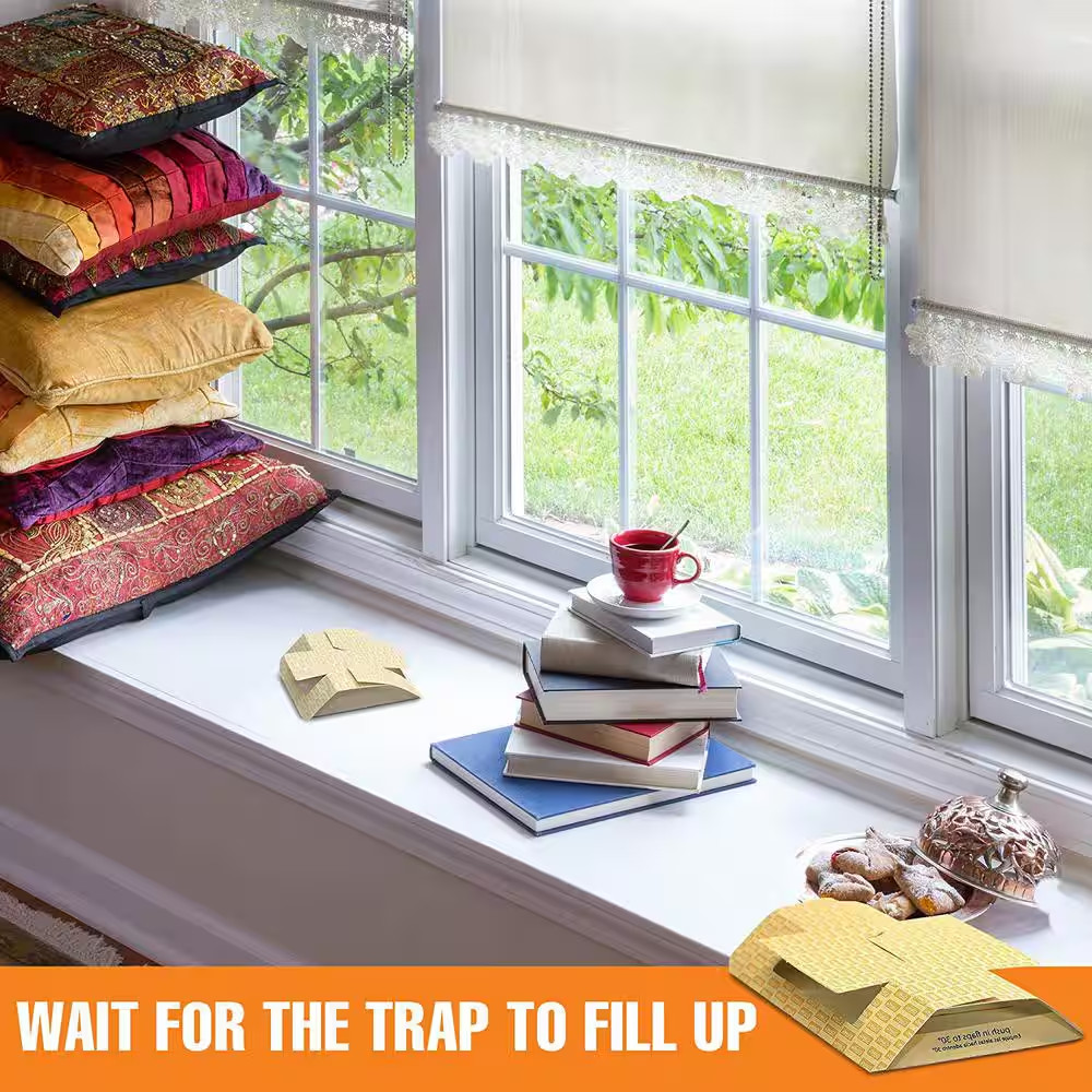 Cricket Glue Traps (6-Pack)